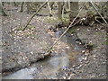 Meander in stream 6 in CO4 9UR