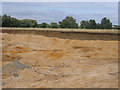 Gravel pit SE of Bedford in the terraces of the Gt Ouse in MK41 0HZ