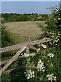 Countryside opposite Fenney Spring Windmill in LE12 9WS
