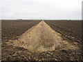 Ditch across the fen in CB6 2DA