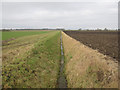 Ditch across Wentworth Sedge Fen in CB6 2DA