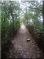 Footpath through golf course, Wimbledon Common in SW15 3EH