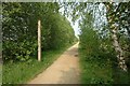 Trans Pennine Trail in Dunham Massey