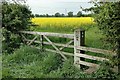 Gate and Stile in Dunham Massey