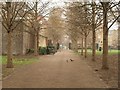 Waterside Gardens, Wapping in E1W 3QU