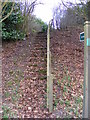 Footpath Steps from the A12 Saxmundham Bypass in IP17 2PU