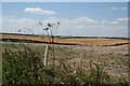 Harvest on White Horse Hill in DT3 6EW