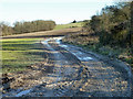 A muddy South Downs Way in GU28 0NN
