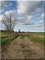 Track and footpath to Ganwick Farm in CB9 7TF