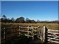 Gate into a field, Markeaton Lane in DE22 2RA