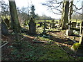 Snowdrops in a graveyard in Radbourne