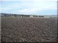 Ploughed field beyond Limes Close in S75 6LH