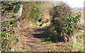 Avon Valley Path at Burton in BH23 7LT