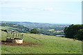 Dalwood: above the Umborne valley in EX14 9JU