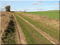 Bridle path to the Roman Road in CB21 6DD