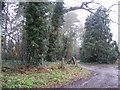 Footpath to Bredfield & Boulge Roads & entrance to Hasketon Manor in IP12 4LZ