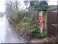 Manor Road & Manor Road Edward VII Postbox in IP12 4LZ