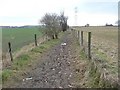 'New' footpath, off Pinfold Lane in S71 3EU
