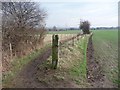 Fenced footpath turning east in S71 3FB