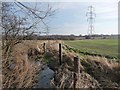 Nameless dike below Cronk Hill in S71 4AQ