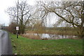 Roadside Pond in CM3 4AJ