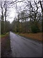 Road north of Selhurst Common looking south in GU5 0FE