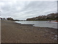 Low tide, River Thames, opposite Fulham Palace in SW15 1HL