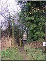 Footpath to Top Road in Hasketon