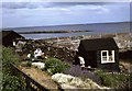 A garden next to the harbour, Craster, c.1965 in NE66 3TT