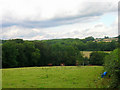 High Weald near Bolney in Cuckfield, Bolney & Ansty Ward