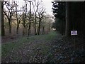 Private track in Hartley Wood in GU34 3BJ