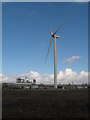 Wind turbine, Solutia, Newport in NP19 4XF