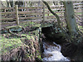 Old slab bridge over Tower Beck in YO21 2DE
