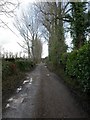 Blashford, Snail's Lane in BH24 3PG
