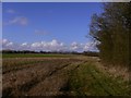 Footpath along field edge with clouds in GU34 3BJ