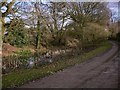 Pond by footpath near Burhunt Cottages in GU34 3LP