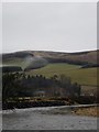 Looking Northeast down the Tweed at Horsburgh Ford in EH45 8NE