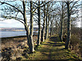 Path along the north bank of the Dingwall Canal in IV15 9JQ