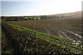 Greenwich Meridian from the road from Rodmell to Lewes in Iford