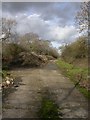 Ellingham, disused road in BH24 3PE