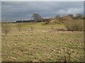 Besthorpe Nature Reserve in Meering