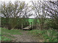 Footbridge in Nedging Tye