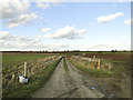 Bridleway near Saxthorpe leading northeast in NR11 7BG