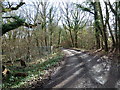 Ridge Lane in mid February in Curbridge (Winchester)