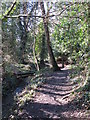Footpath by the River Ravensbourne in the south of Padmall Wood in BR2 6BN