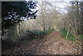 Footpath off the North Downs Way, Civiley Wood in ME14 3LW