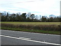 Looking northwards from the A334 approaching Botley in SO32 2BA