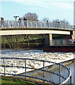 Bridge and Weir in MK44 3LG