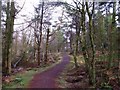 Cumbernauld, Glencryan Woods in G67 3AR