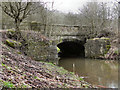 River Medlock: Fenny Field Bridge in OL7 9RU